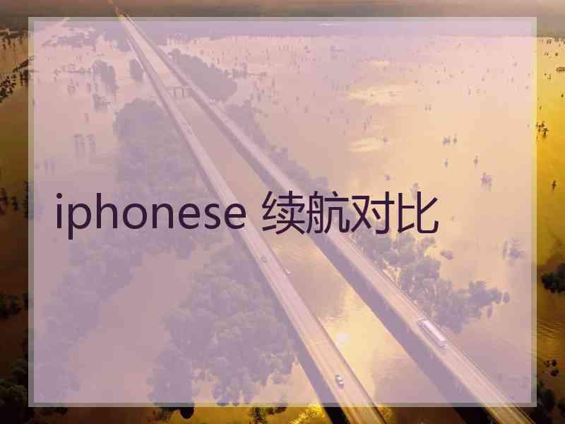 iphonese 续航对比