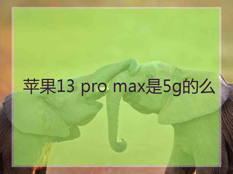 苹果13 pro max是5g的么