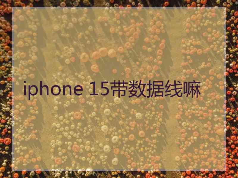 iphone 15带数据线嘛