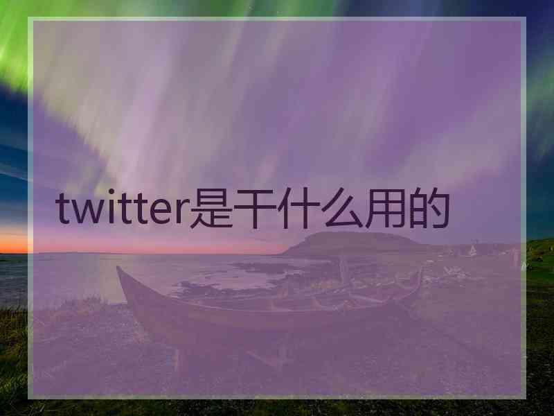 twitter是干什么用的