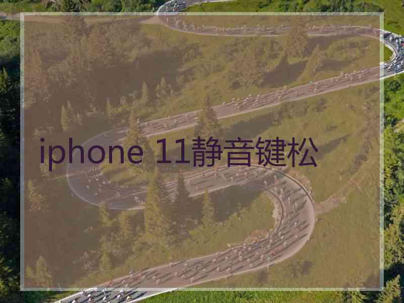 iphone 11静音键松