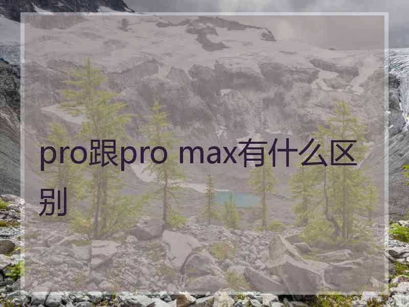 pro跟pro max有什么区别