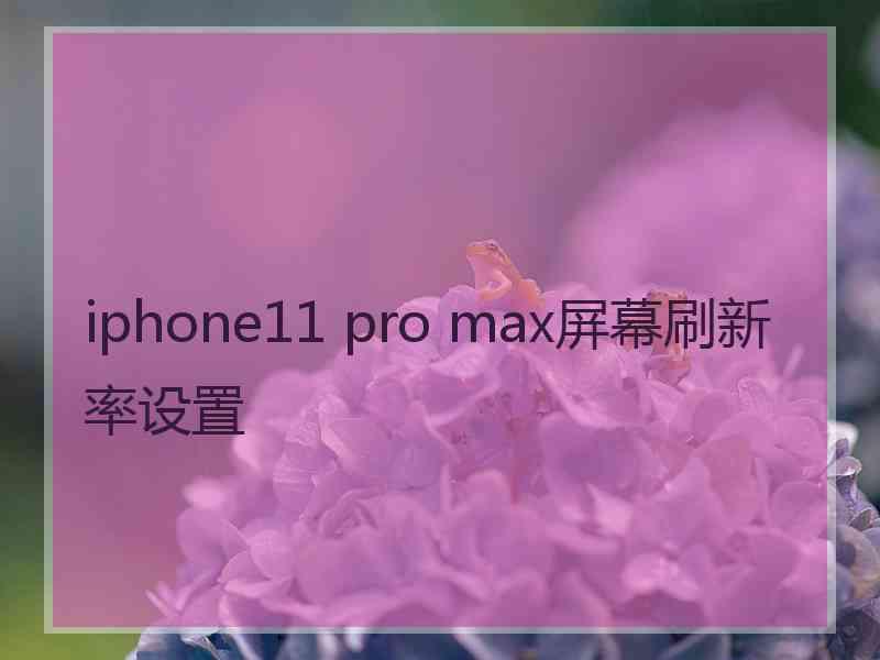 iphone11 pro max屏幕刷新率设置