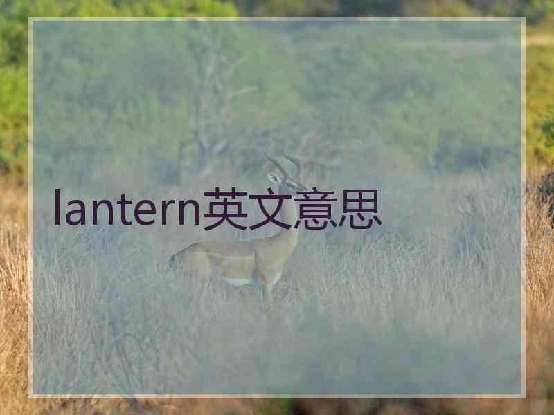 lantern英文意思