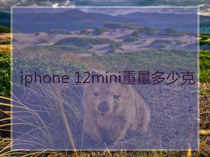 iphone 12mini重量多少克