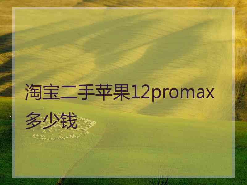 淘宝二手苹果12promax多少钱