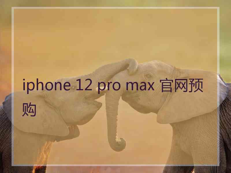 iphone 12 pro max 官网预购