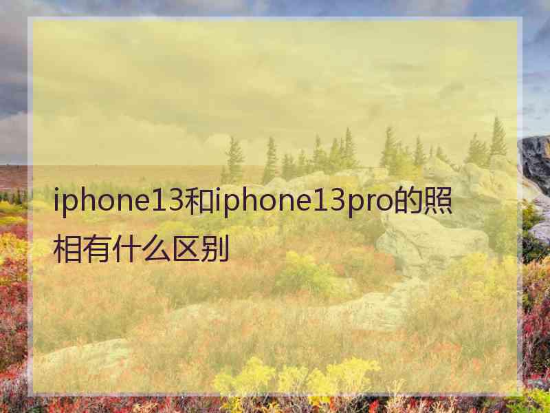 iphone13和iphone13pro的照相有什么区别