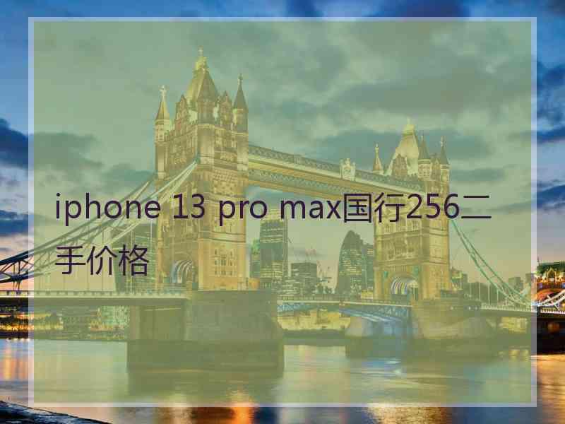 iphone 13 pro max国行256二手价格