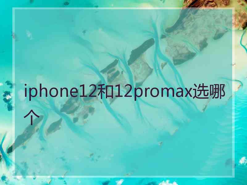 iphone12和12promax选哪个