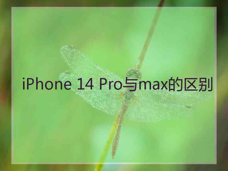 iPhone 14 Pro与max的区别