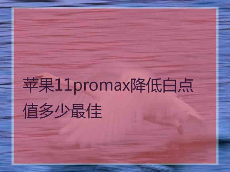 苹果11promax降低白点值多少最佳