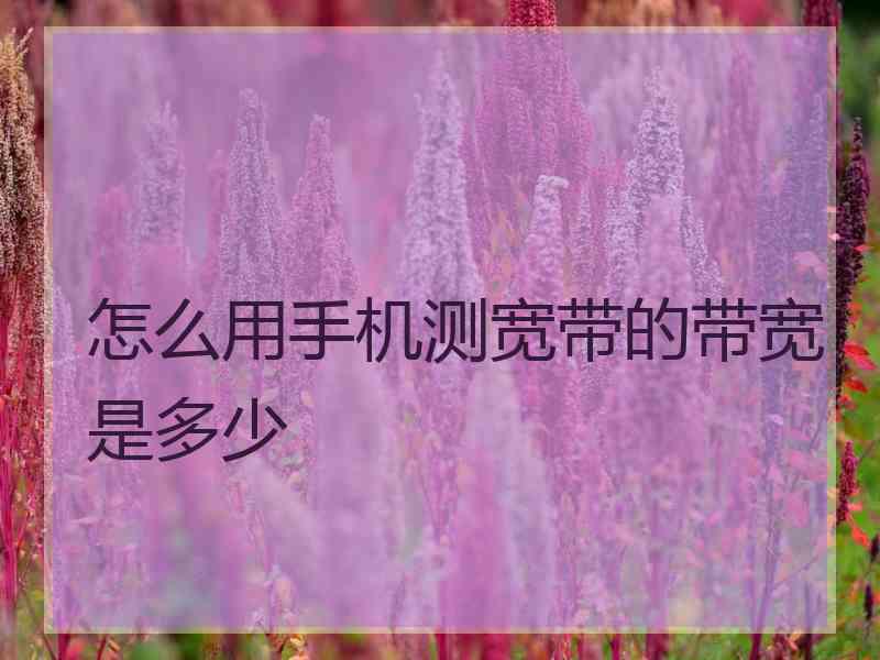 怎么用手机测宽带的带宽是多少