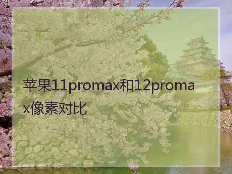 苹果11promax和12promax像素对比