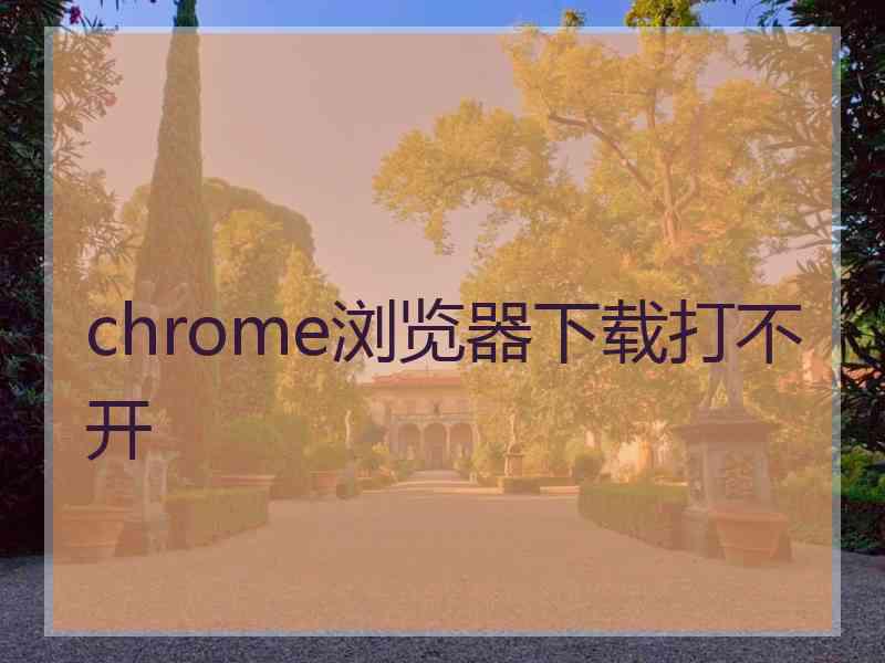 chrome浏览器下载打不开