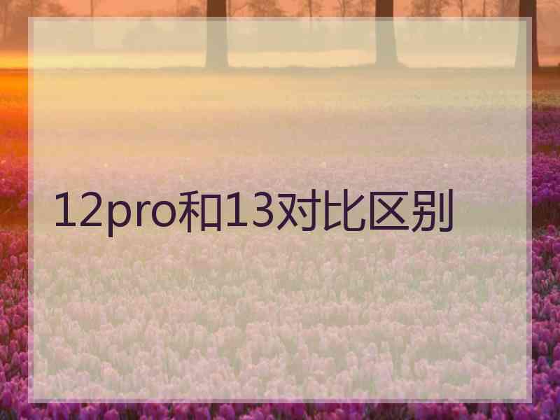 12pro和13对比区别