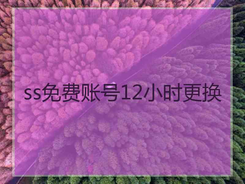 ss免费账号12小时更换