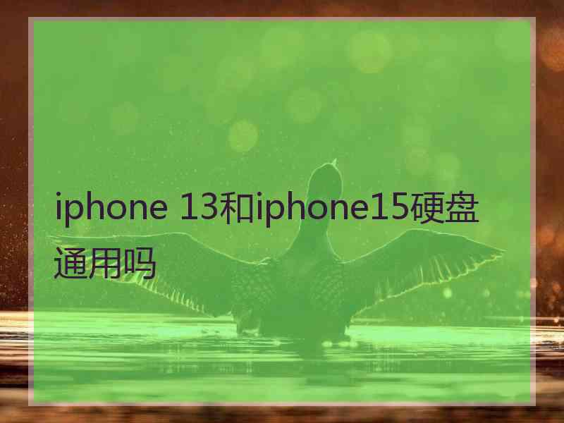 iphone 13和iphone15硬盘通用吗