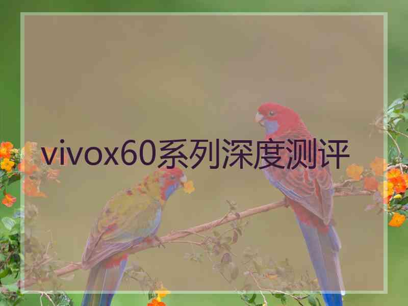 vivox60系列深度测评