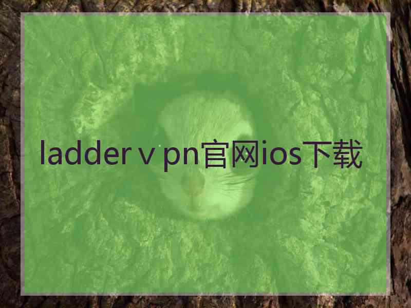 ladderⅴpn官网ios下载