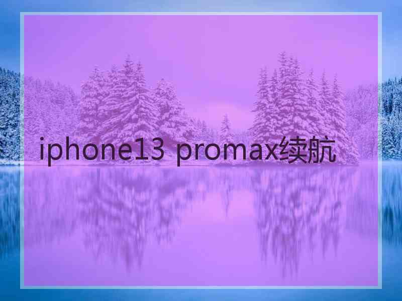 iphone13 promax续航