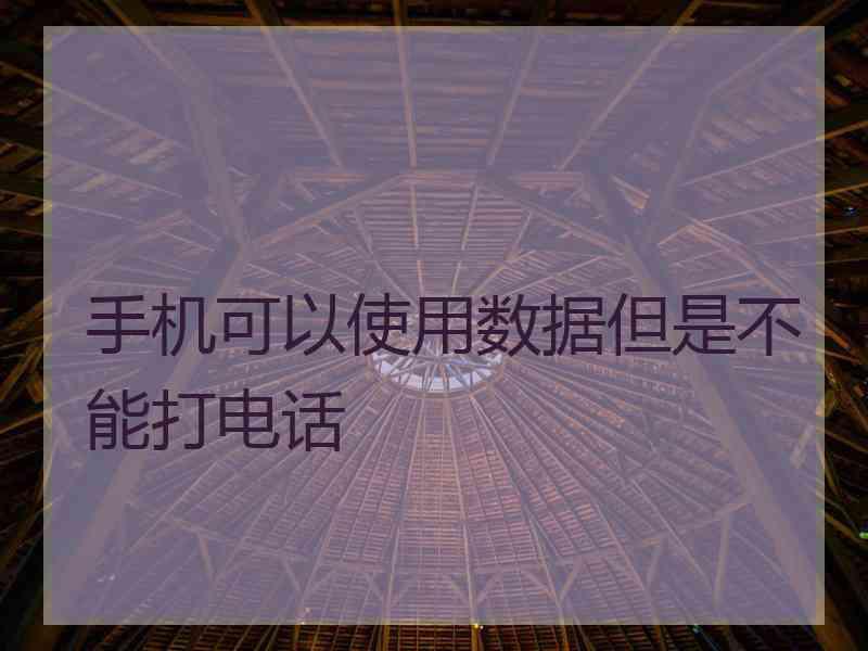 手机可以使用数据但是不能打电话