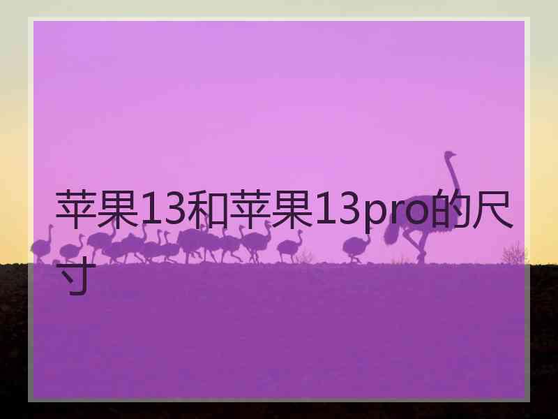 苹果13和苹果13pro的尺寸