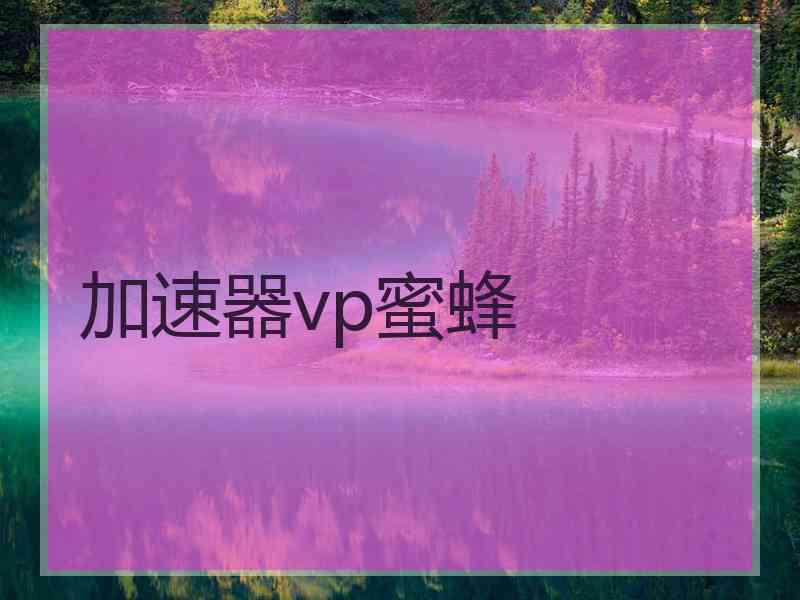 加速器vp蜜蜂