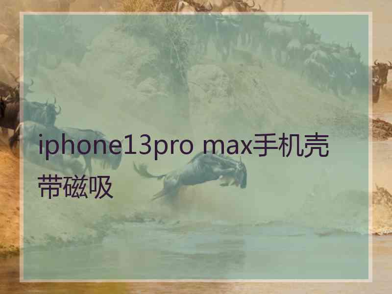 iphone13pro max手机壳带磁吸