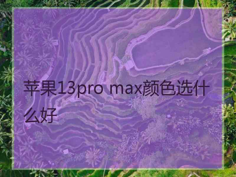 苹果13pro max颜色选什么好