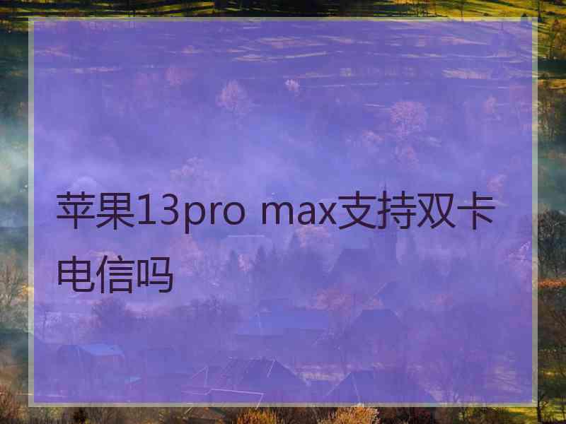 苹果13pro max支持双卡电信吗