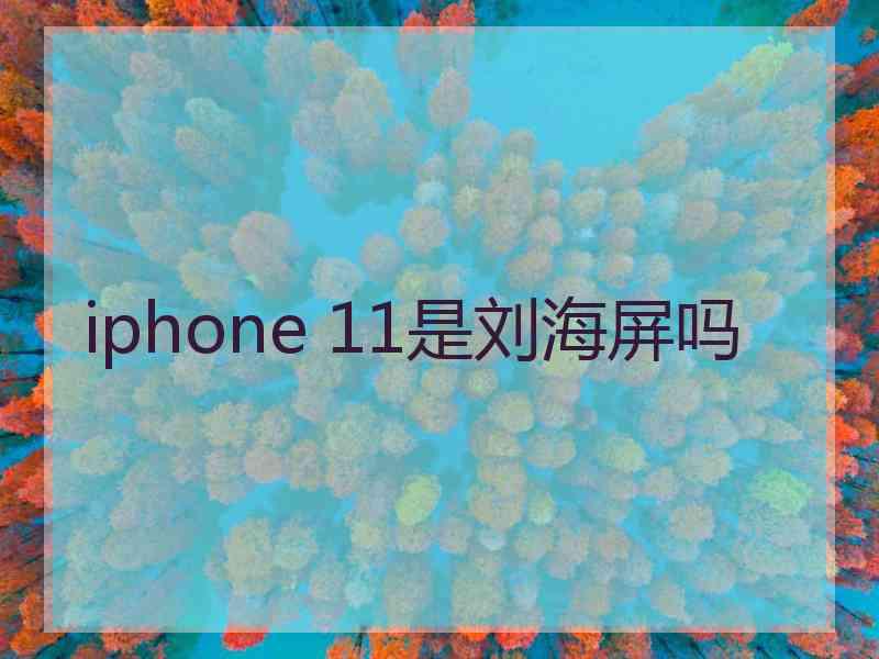 iphone 11是刘海屏吗