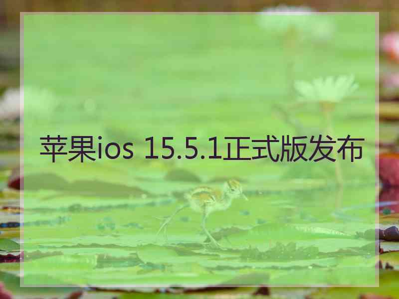 苹果ios 15.5.1正式版发布