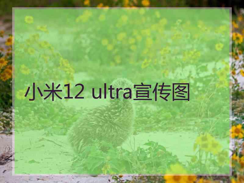 小米12 ultra宣传图