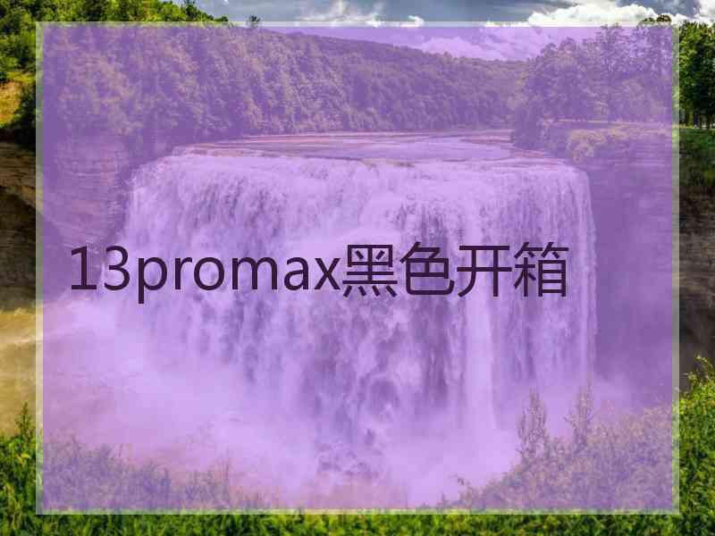 13promax黑色开箱