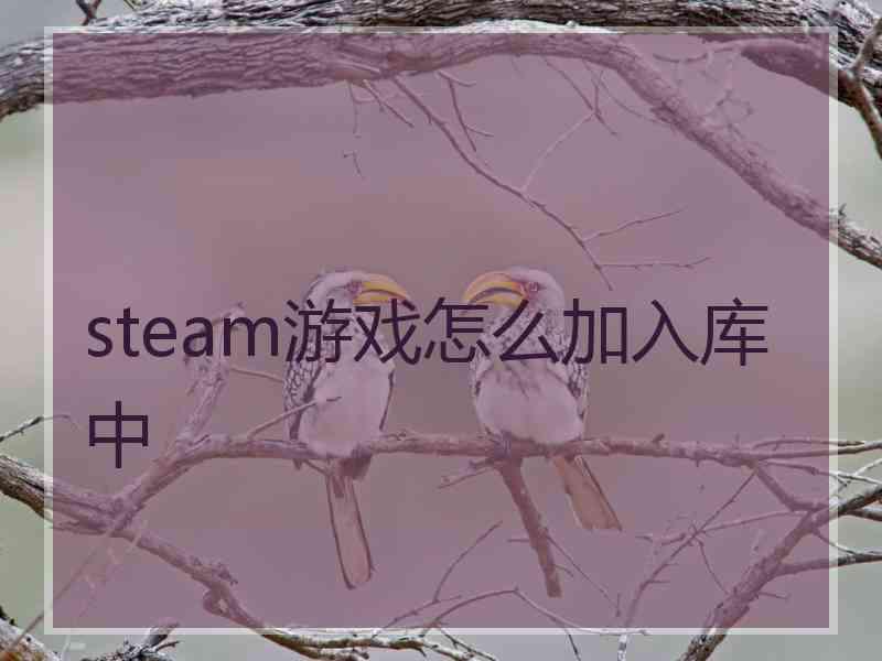 steam游戏怎么加入库中