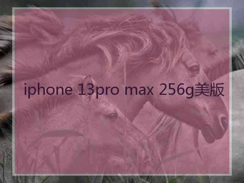 iphone 13pro max 256g美版