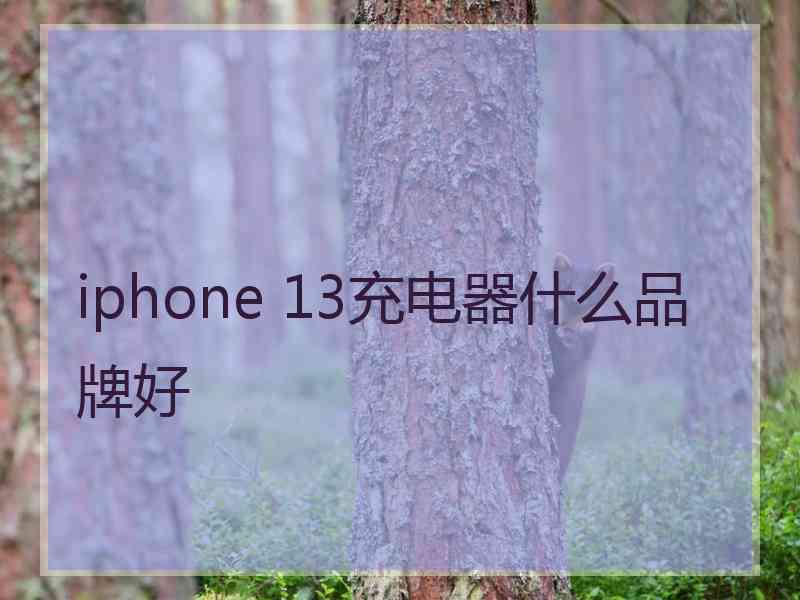 iphone 13充电器什么品牌好