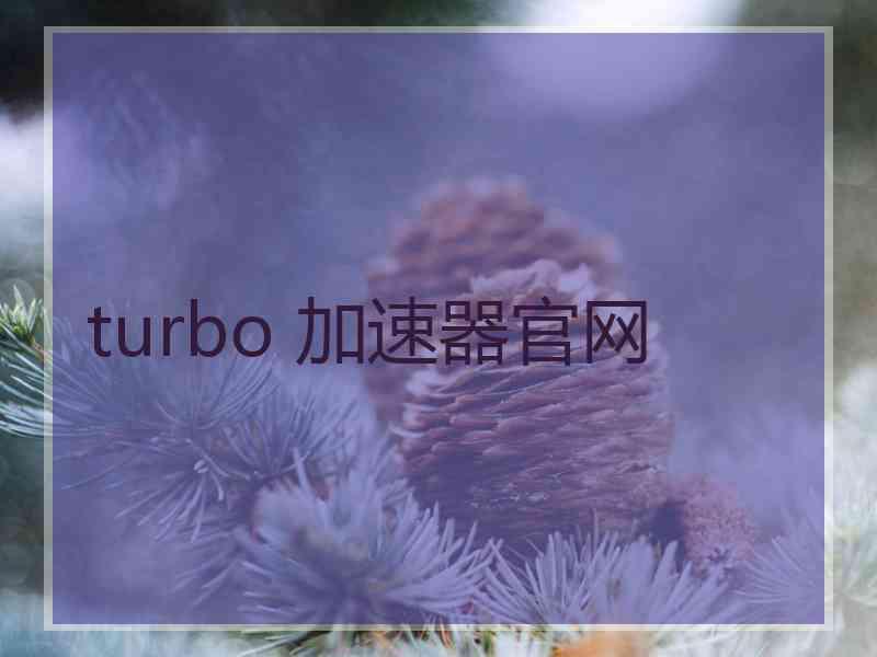 turbo 加速器官网