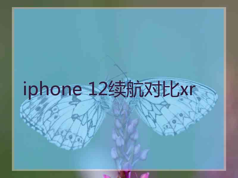 iphone 12续航对比xr