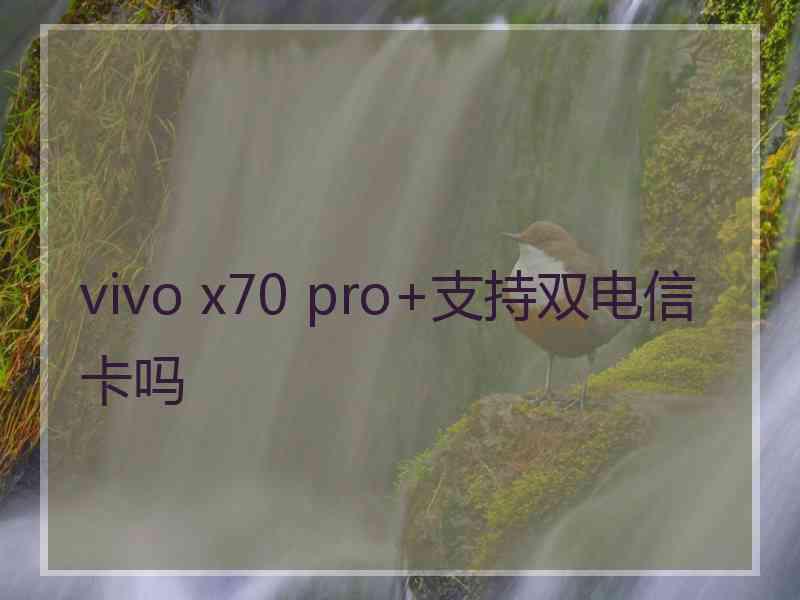 vivo x70 pro+支持双电信卡吗