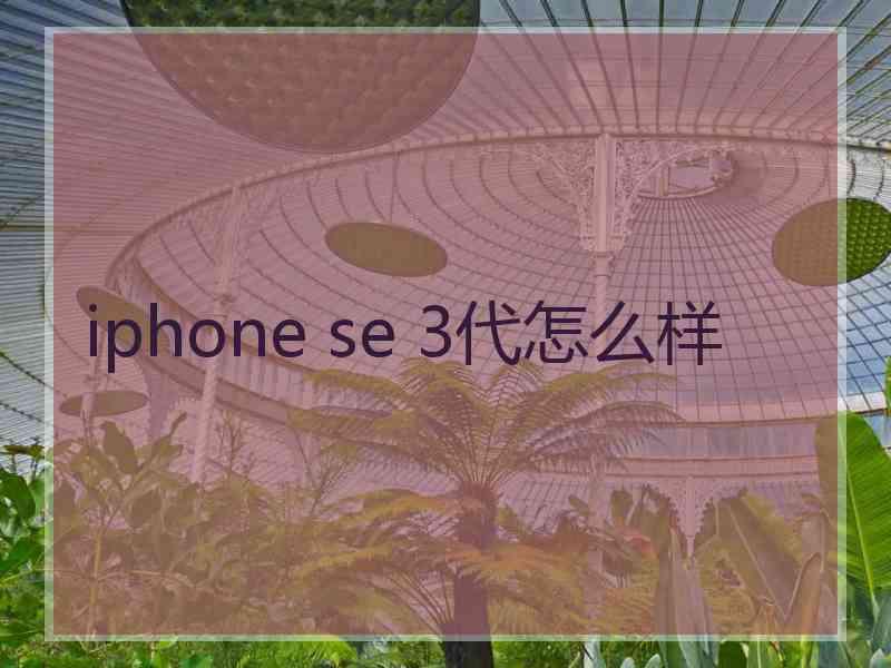 iphone se 3代怎么样