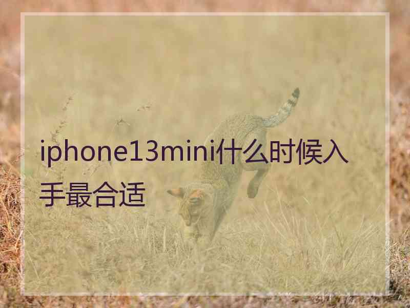 iphone13mini什么时候入手最合适