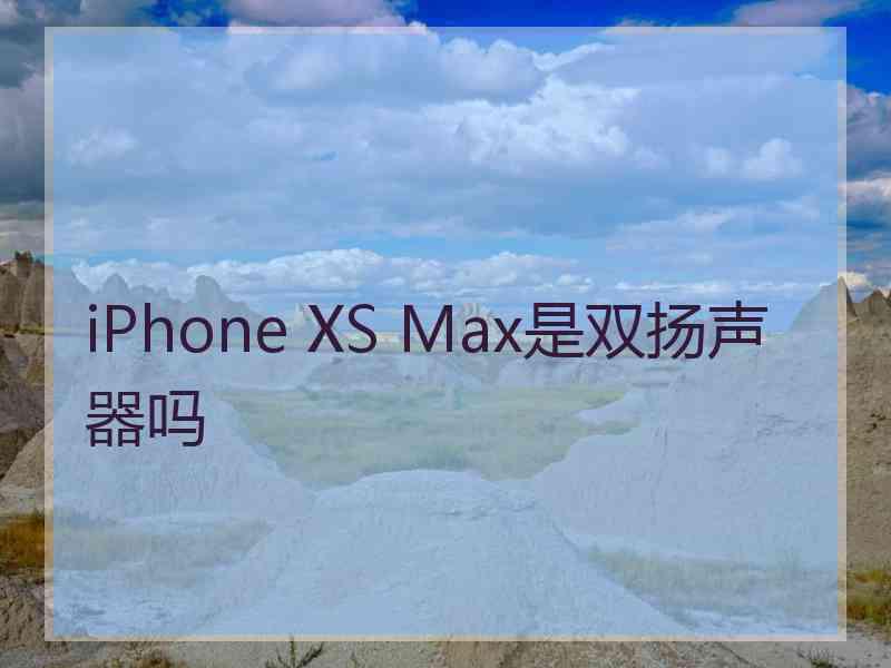 iPhone XS Max是双扬声器吗