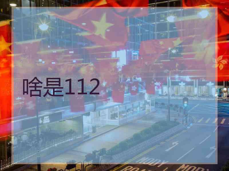 啥是112