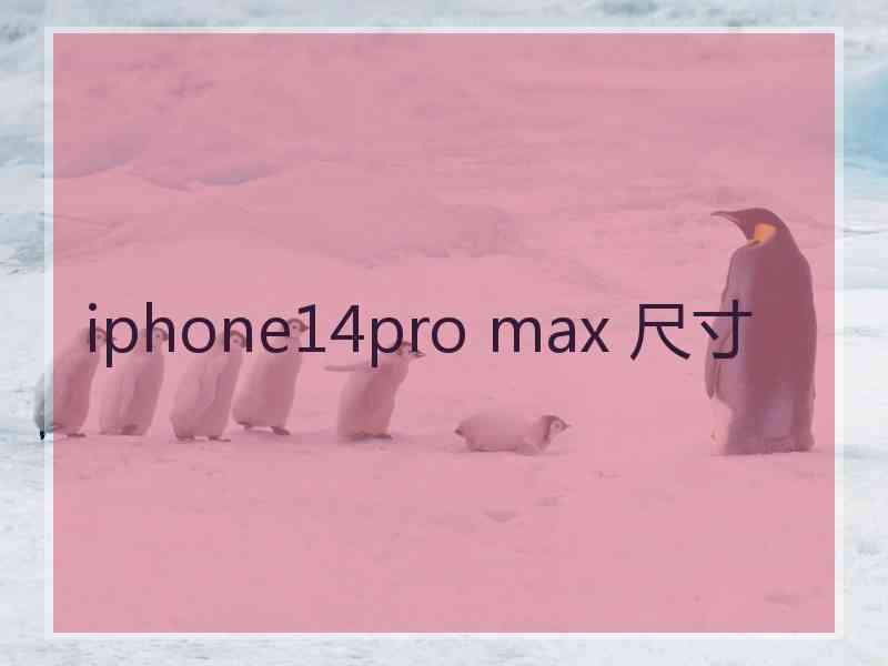 iphone14pro max 尺寸