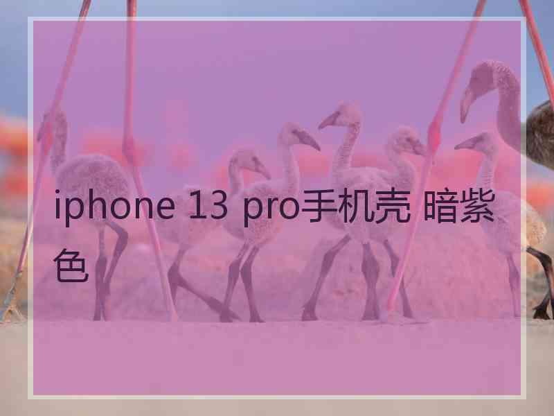 iphone 13 pro手机壳 暗紫色