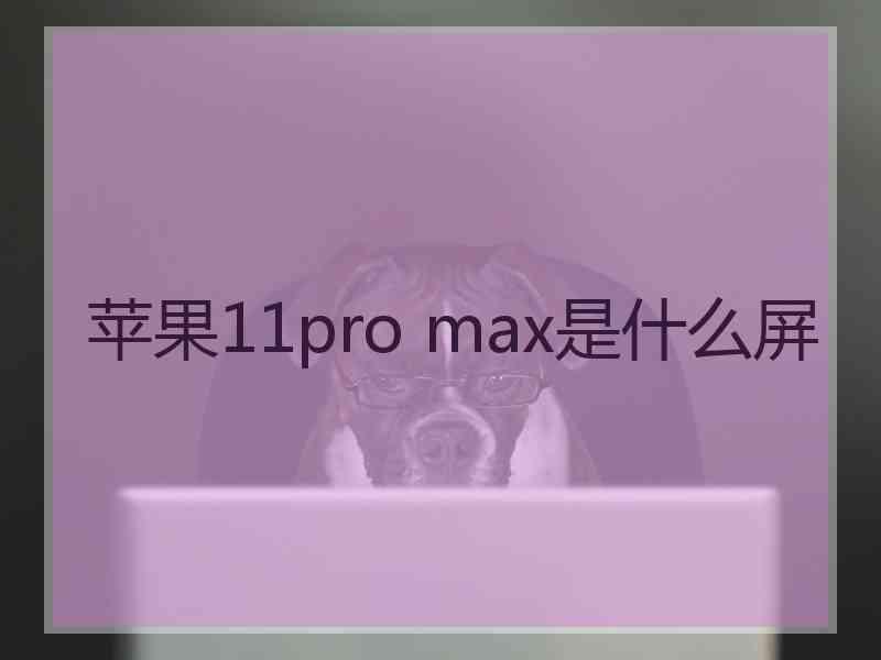 苹果11pro max是什么屏