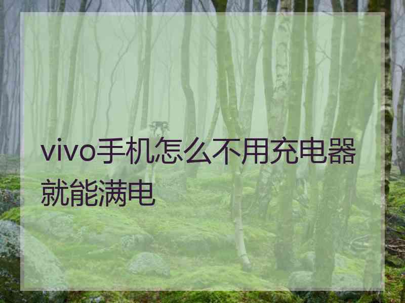 vivo手机怎么不用充电器就能满电