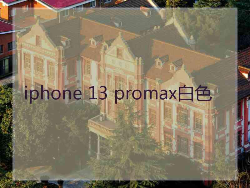 iphone 13 promax白色